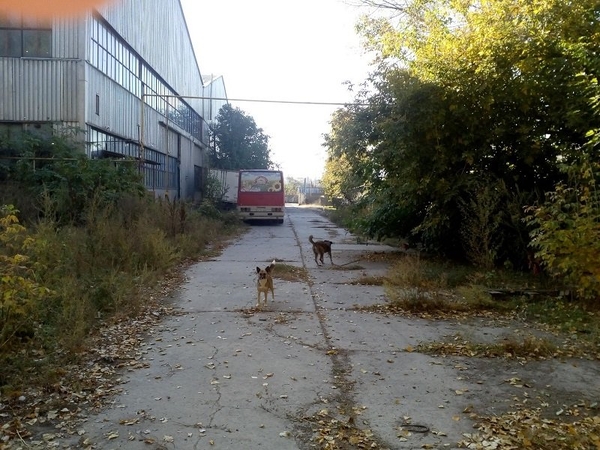 Нежитлова будівля